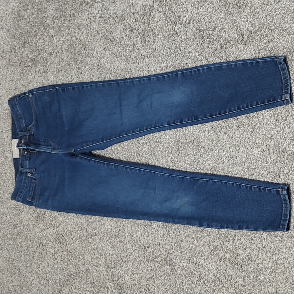 Classic Blue Wash Everlane Skinny Jeans